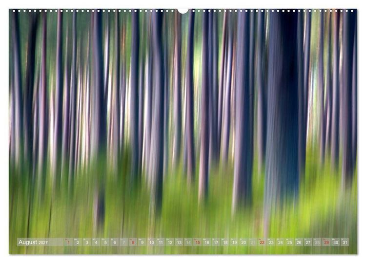 Produktbild: Atelier Wald - gemalt mit Licht (Wandkalender 2027 DIN A2 quer), CALVENDO Monatskalender