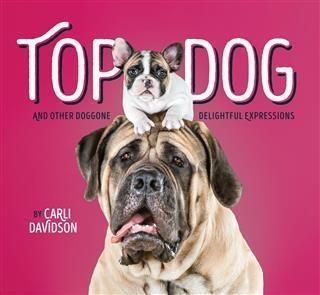 Produktbild: Top Dog