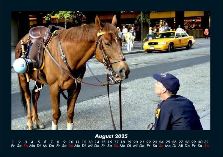 Produktbild: Die Welt der Pferde 2025 Fotokalender DIN A4