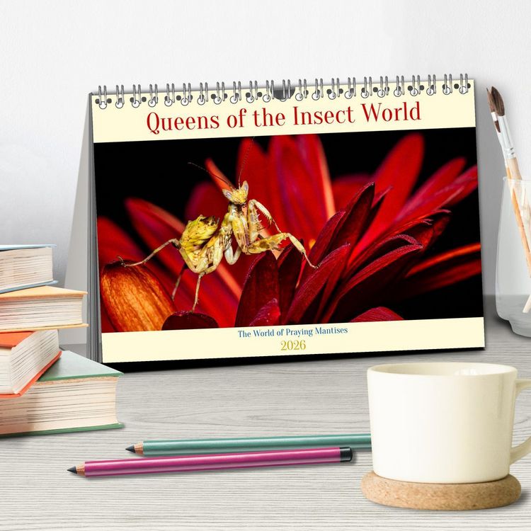 Produktbild: Queens of the Insect World (Desk Calendar 2026 DIN A5 landscape), CALVENDO 12 Month DeskCalendar