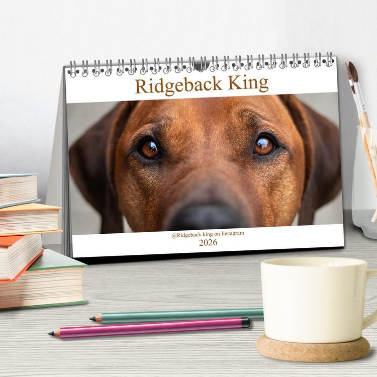 Produktbild: Ridgeback King (Tischkalender 2026 DIN A5 quer), CALVENDO Monatskalender