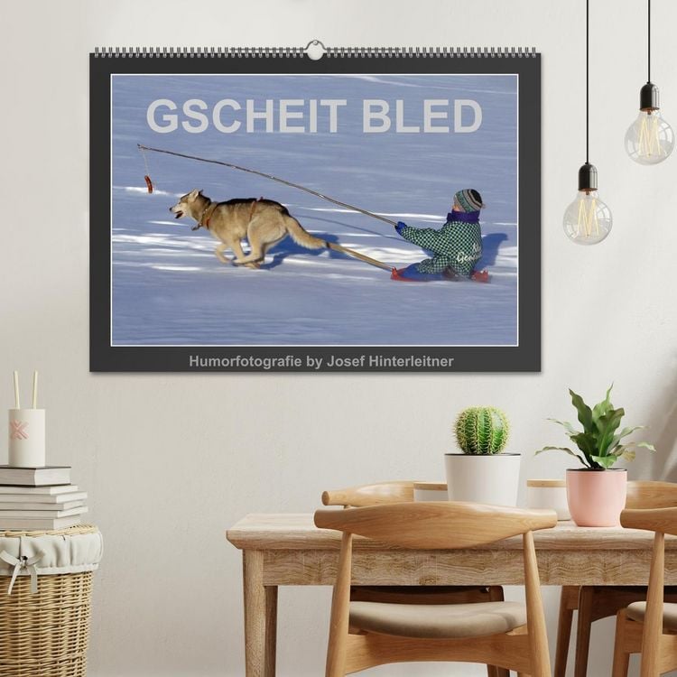 Produktbild: GSCHEIT BLED - Humorfotografie (Wandkalender 2026 DIN A2 quer), CALVENDO Monatskalender