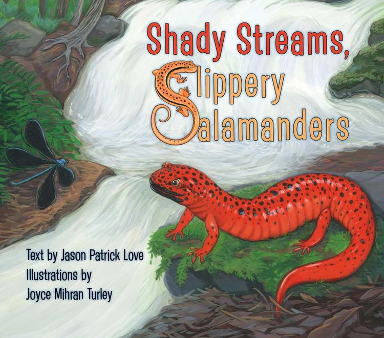 Produktbild: Shady Streams, Slippery Salamanders