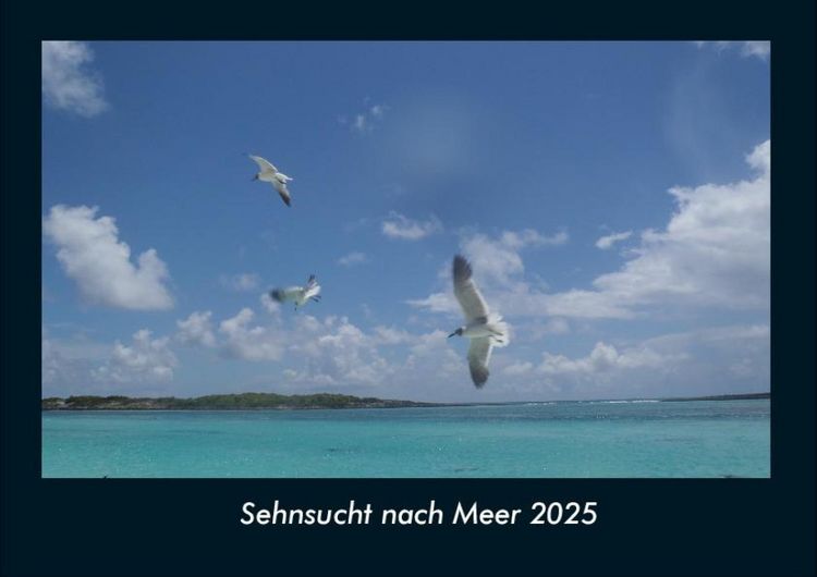 Produktbild: Sehnsucht nach Meer 2025 Fotokalender DIN A4