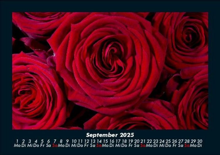 Produktbild: Rosentraum 2025 Fotokalender DIN A5