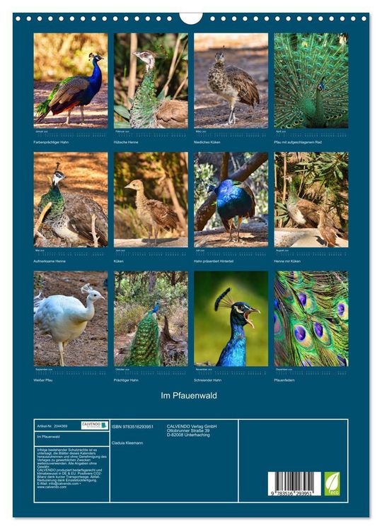 Produktbild: Im Pfauenwald (Wandkalender 2026 DIN A3 hoch), CALVENDO Monatskalender