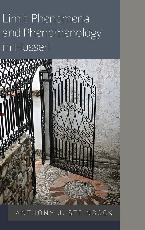 Produktbild: Limit-Phenomena and Phenomenology in Husserl