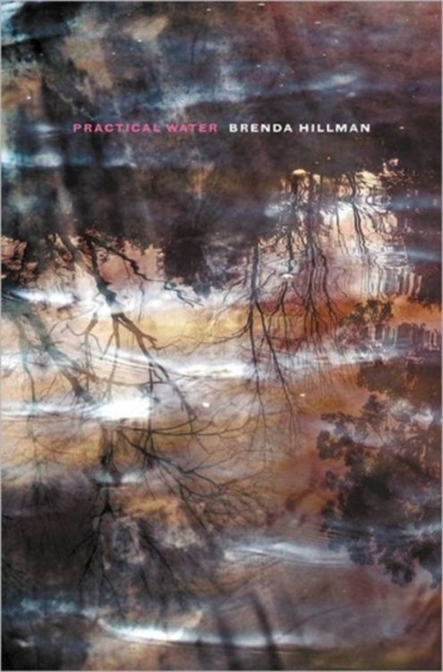 Bild vom Artikel Practical Water vom Autor Brenda Hillman