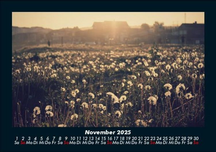 Produktbild: Blumenkalender 2025 Fotokalender DIN A5