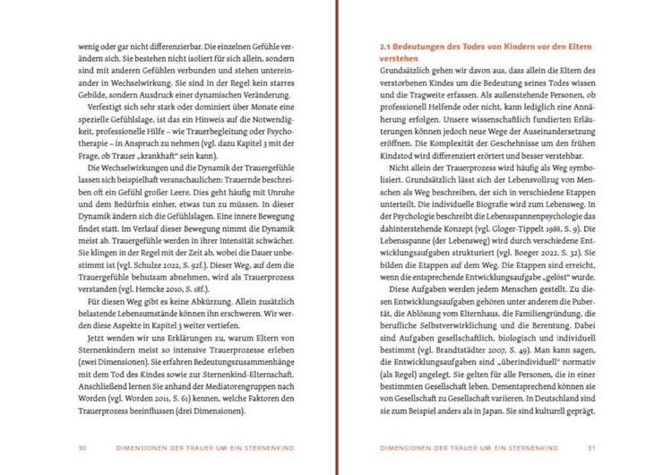 Produktbild: Sternenkind: Trauer verstehen und begleiten