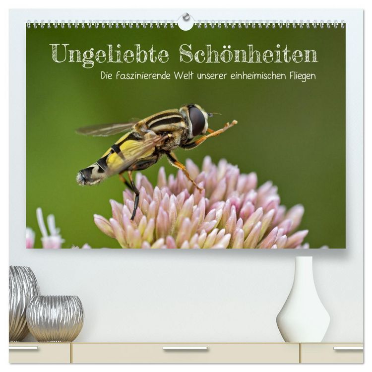 Produktbild: Ungeliebte Sch&ouml;nheiten - die faszinierende Welt unserer heimischen Fliegen (hochwertiger Premium Wandkalender 2026 DIN A2 quer), Kunstdruck in Hochglanz
