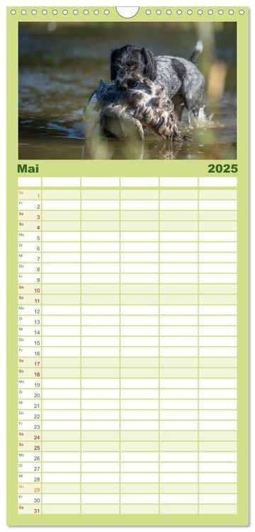 Familienplaner 2025 - Jagdhunde bei der Arbeit mit 5 Spalten (Wandkalender, 21 x 45 cm) CALVENDO