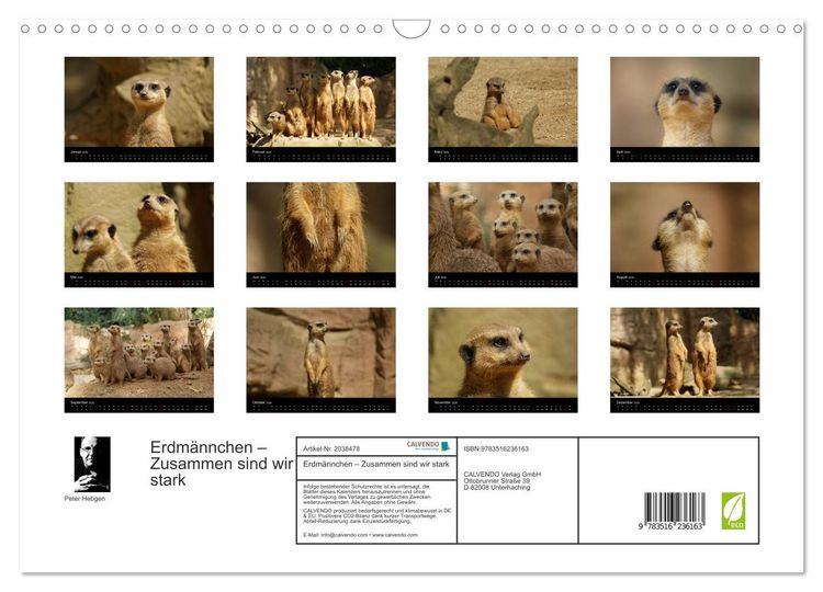 Produktbild: Erdm&auml;nnchen &ndash; Zusammen sind wir stark (Wandkalender 2026 DIN A3 quer), CALVENDO Monatskalender