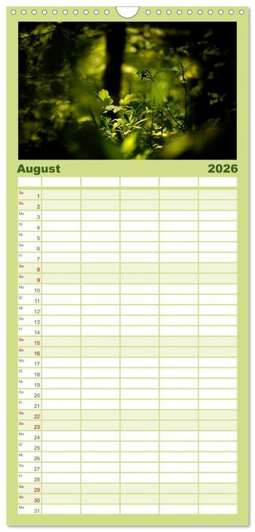 Produktbild: Familienplaner 2026 - Mysterium Wald mit 5 Spalten (Wandkalender, 21 x 45 cm) CALVENDO