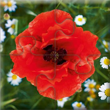 Produktbild: Das "Gelingt-immer"-Puzzle Wiesenblumen. Das Puzzle-Spiel f&uuml;r Senioren mit Demenz