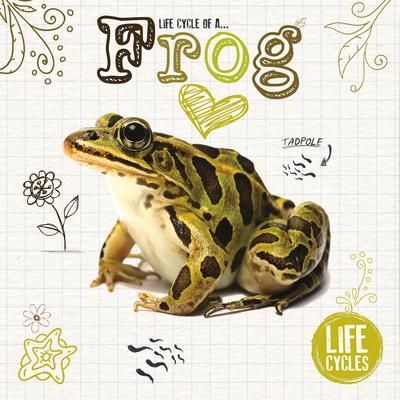 Produktbild: Life Cycle of a Frog