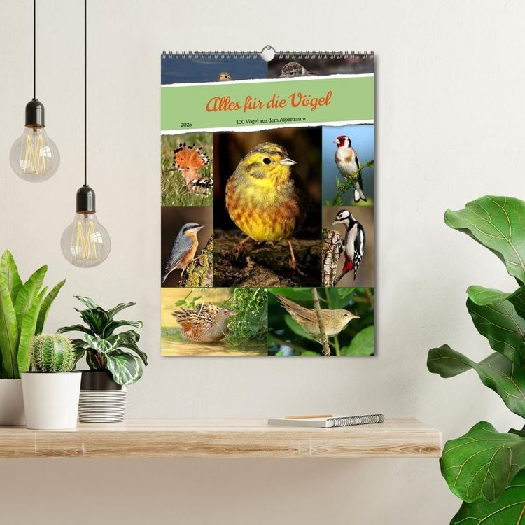 Produktbild: Alles f&uuml;r die V&ouml;gel (Wandkalender 2026 DIN A3 hoch), CALVENDO Monatskalender