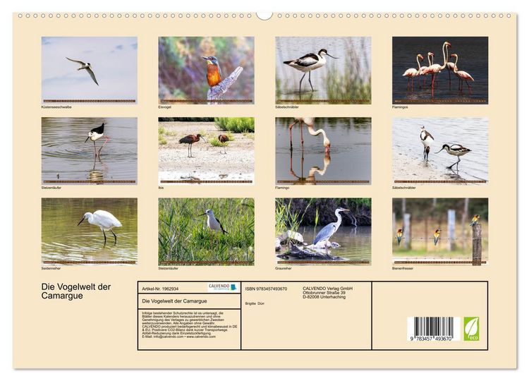 Produktbild: Die Vogelwelt der Camargue (hochwertiger Premium Wandkalender 2026 DIN A2 quer), Kunstdruck in Hochglanz