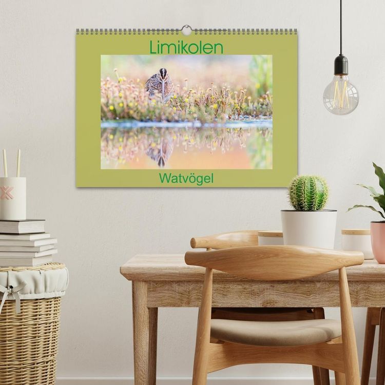 Produktbild: Limikolen - Watv&ouml;gel aus Europa (Wandkalender 2027 DIN A3 quer), CALVENDO Monatskalender