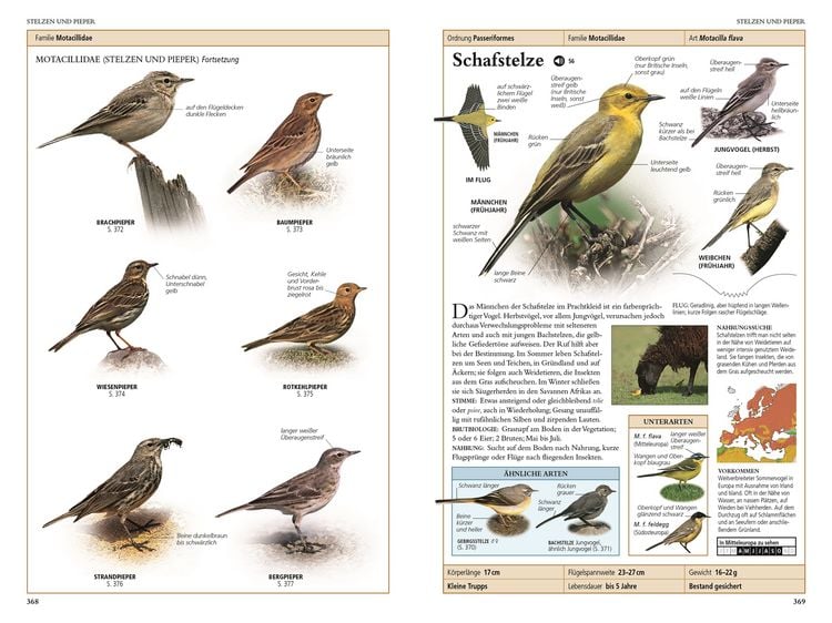 Produktbild: V&ouml;gel in Europa