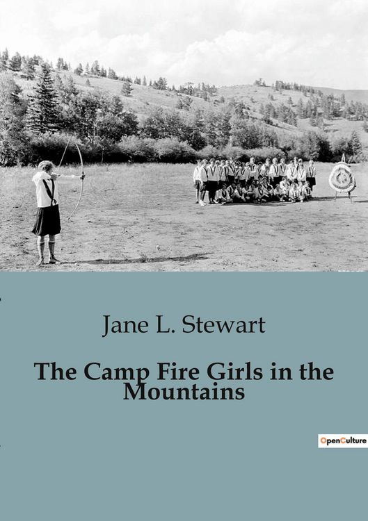 Produktbild: The Camp Fire Girls in the Mountains