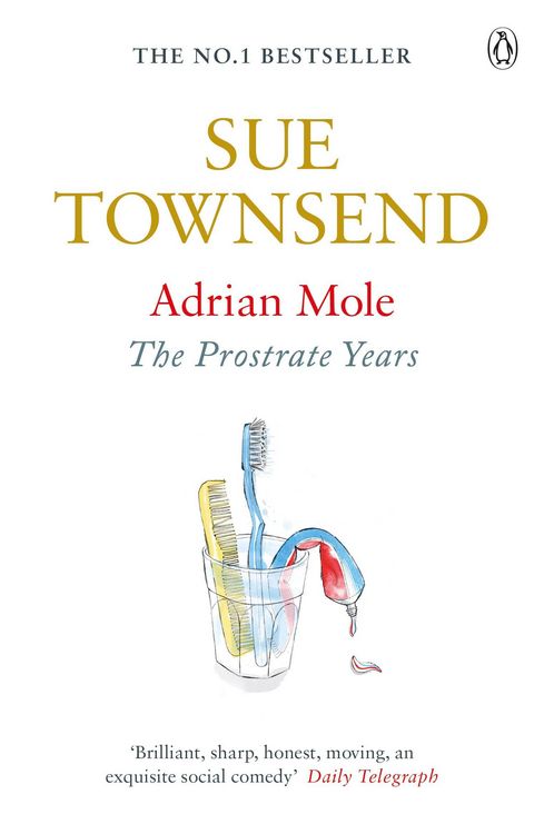 Produktbild: Adrian Mole: The Prostrate Years