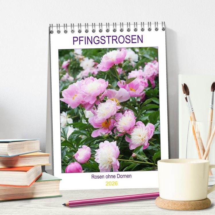 Produktbild: Pfingstrosen Rosen ohne Dornen (Tischkalender 2026 DIN A5 hoch), CALVENDO Monatskalender