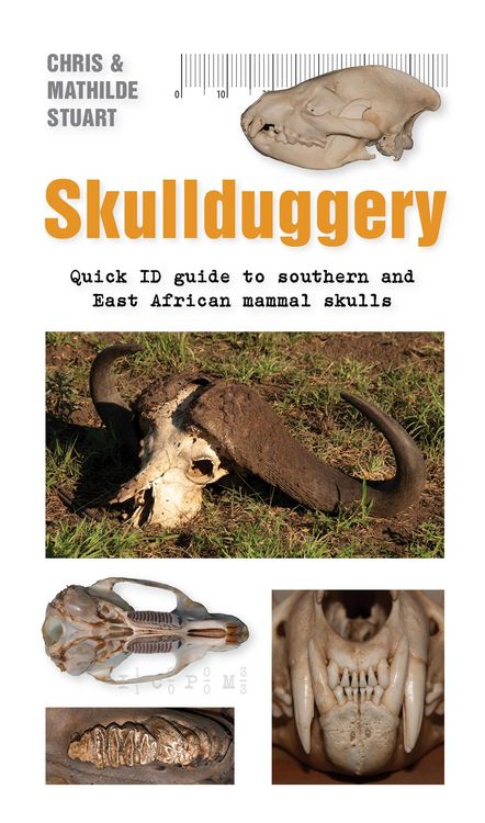 Produktbild: Skullduggery