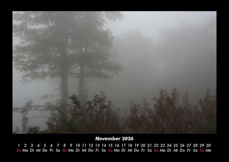 Produktbild: Waldzauber 2026 Fotokalender DIN A3