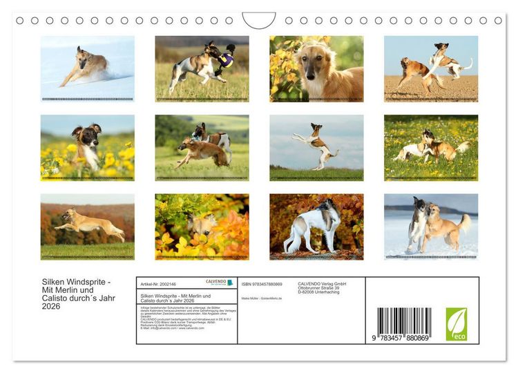 Produktbild: Silken Windsprite - Mit Merlin und Calisto durch&acute;s Jahr 2026 (Wandkalender 2026 DIN A4 quer), CALVENDO Monatskalender