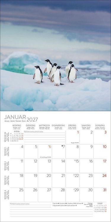 Produktbild: Pinguine 2027