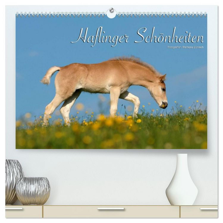 Produktbild: Haflinger Sch&ouml;nheiten (hochwertiger Premium Wandkalender 2026 DIN A2 quer), Kunstdruck in Hochglanz