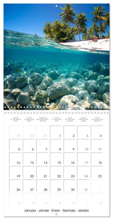 Produktbild: Beside tropical beaches (Wall Calendar 2026 12 &times; 12 Inch) CALVENDO 12 Month Wall Calendar