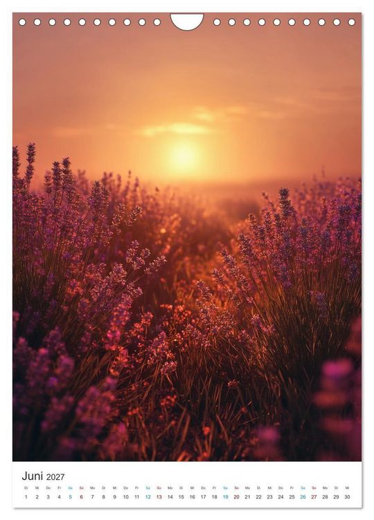 Produktbild: Der Sommer bl&uuml;ht violett (Wandkalender 2027 DIN A4 hoch), CALVENDO Monatskalender