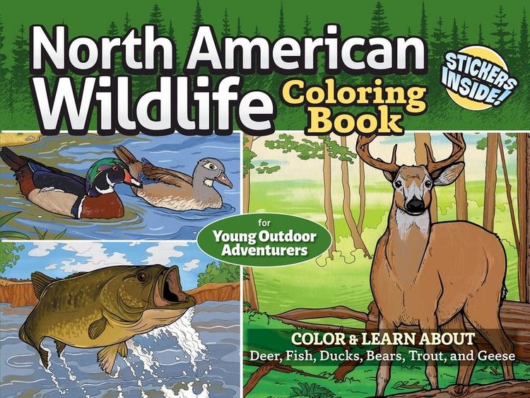 Produktbild: North American Wildlife Coloring Book for Young Outdoor Adventurers