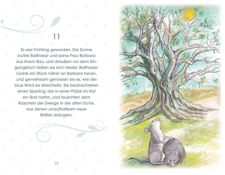 Balthasar – oder kommen Gänseblümchen in den Himmel?