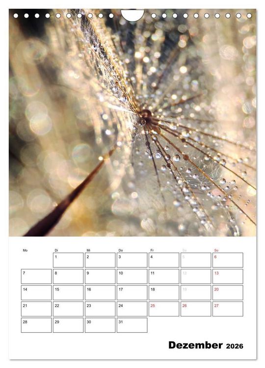 Produktbild: Zauberhafte Bl&uuml;tenwelt / Planer (Wandkalender 2026 DIN A4 hoch), CALVENDO Monatskalender