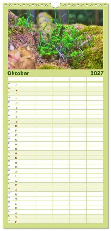 Produktbild: Familienplaner 2027 - Vielfalt am Waldboden mit 5 Spalten (Wandkalender, 21 x 45 cm) CALVENDO
