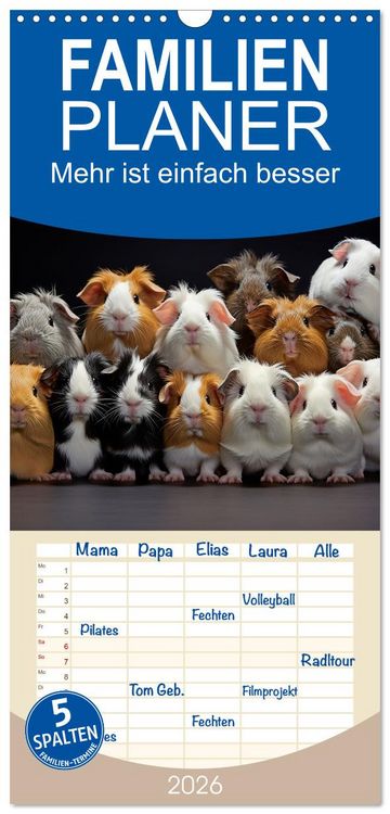 Produktbild: Familienplaner 2026 - Mehr ist einfach besser mit 5 Spalten (Wandkalender, 21 x 45 cm) CALVENDO