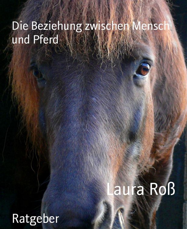 Produktbild: Die Beziehung zwischen Mensch und Pferd