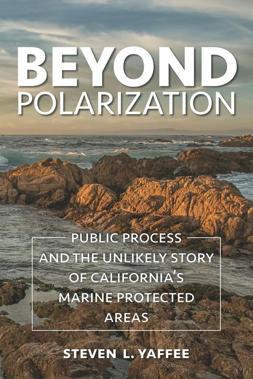 Produktbild: Beyond Polarization