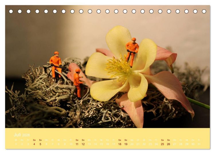Produktbild: Miniaturen - Klein ganz gro&szlig; (Tischkalender 2026 DIN A5 quer), CALVENDO Monatskalender