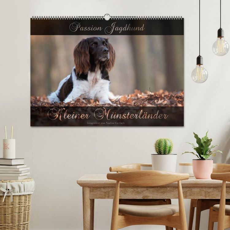 Produktbild: Passion Jagdhund - Kleiner M&uuml;nsterl&auml;nder (Wandkalender 2026 DIN A2 quer), CALVENDO Monatskalender