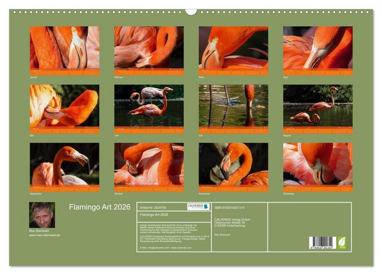 Produktbild: Flamingo Art 2026 (Wandkalender 2026 DIN A2 quer), CALVENDO Monatskalender