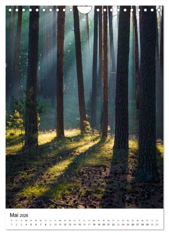 Produktbild: Der Harz - Malerische Orte (Wandkalender 2026 DIN A4 hoch), CALVENDO Monatskalender