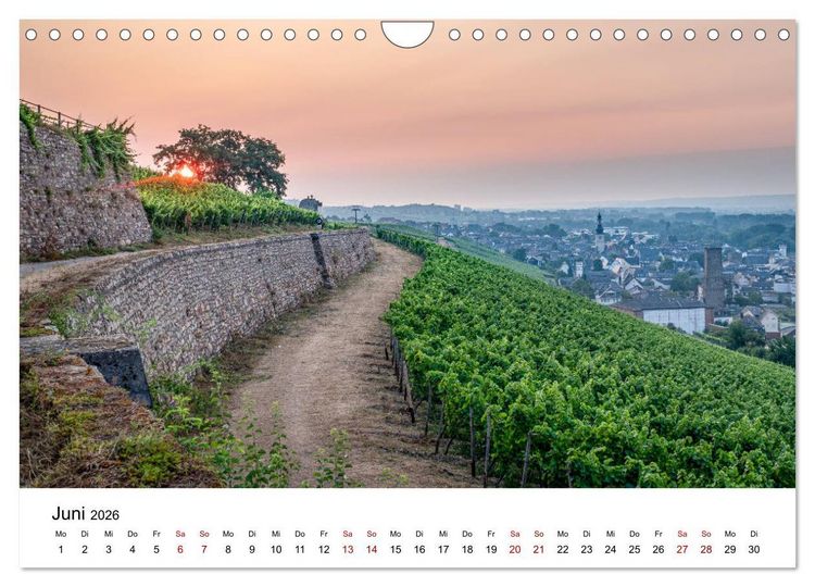 Produktbild: Rheingau 2026 (Wandkalender 2026 DIN A4 quer), CALVENDO Monatskalender