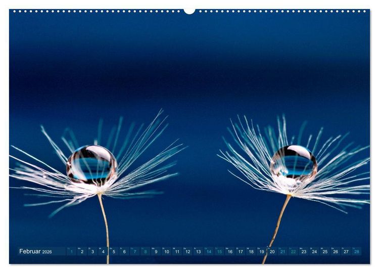 Produktbild: Die Welt in Blau (Wandkalender 2026 DIN A2 quer), CALVENDO Monatskalender