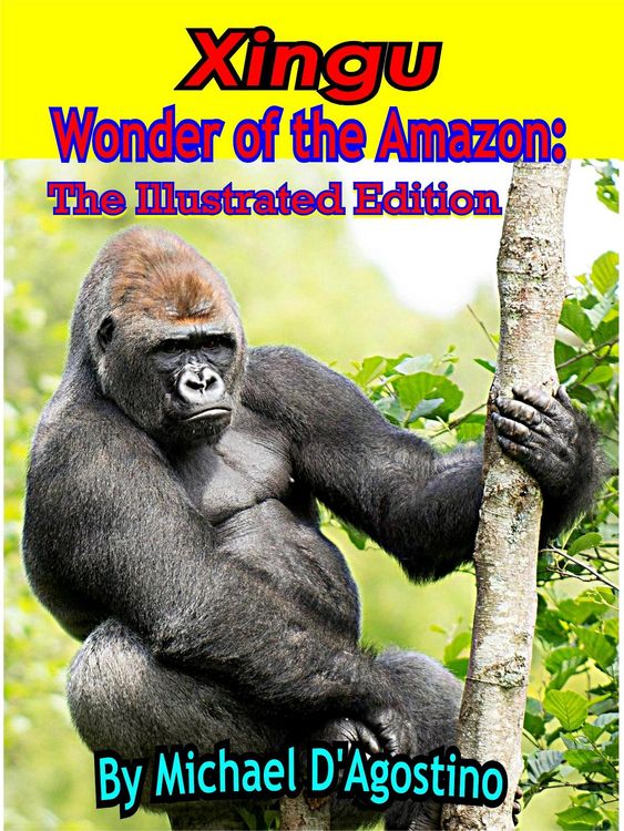Produktbild: Xingu Wonder of the Amazon: The Illustrated Edition