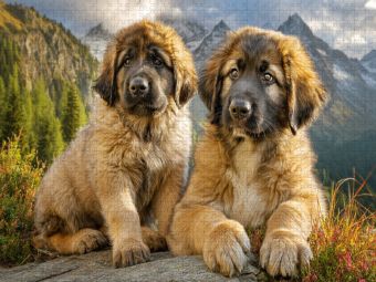 Produktbild: CALVENDO Puzzle S&uuml;&szlig;e Leonberger Welpen | 1000 Teile Lege-Gr&ouml;&szlig;e 64x48cm Foto-Puzzle f&uuml;r gl&uuml;ckliche Stunden