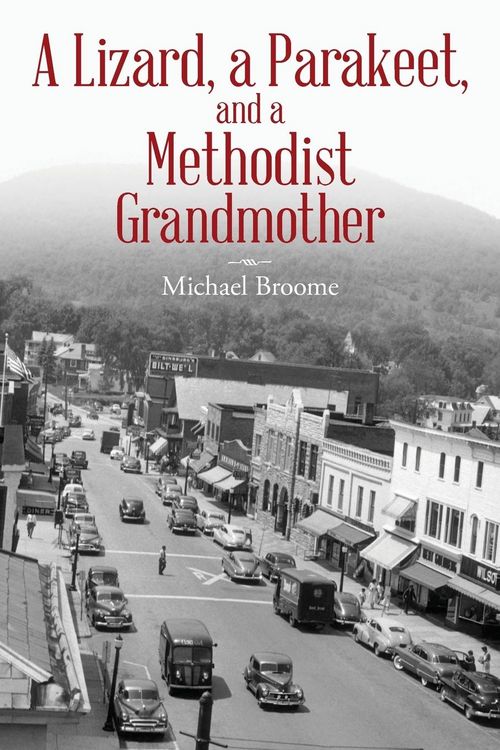Produktbild: A Lizard, a Parakeet, and a Methodist Grandmother